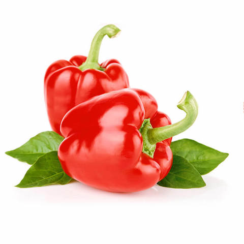 Bell pepper
